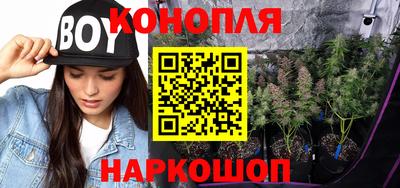 индика Отрадный