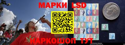 индика Отрадный
