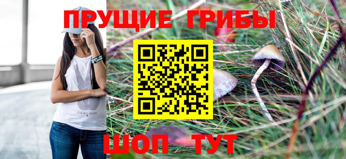 Галлюциногенные грибы Cubensis  Галлюциногенные грибы прущие грибы  Будённовск 