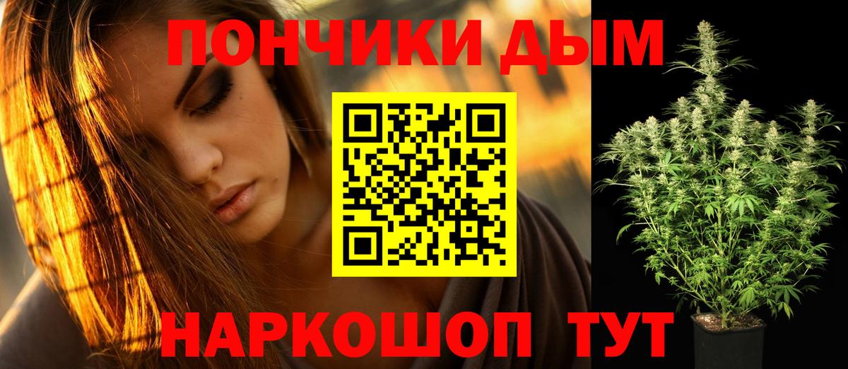 Канабис сатива Будённовск